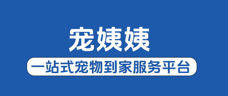 宠姨姨
